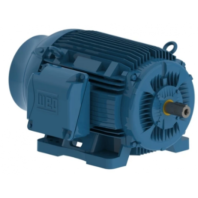 The W22 IEEE 841 motors