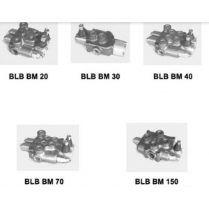 BLB HYDRAULIC BM Valves - Misc. for sale
