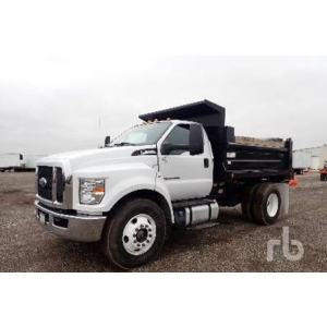 2021 FORD 4X2 Dump Trucks for sale